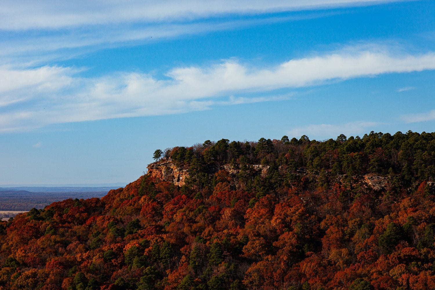 Petit Jean