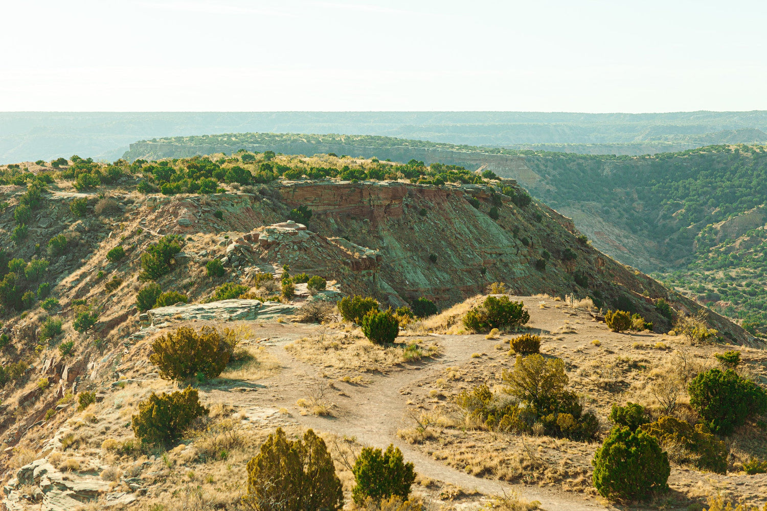 Palo Duro